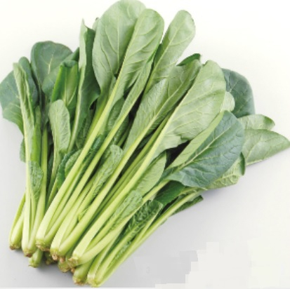 茨城県産他　小松菜　１袋