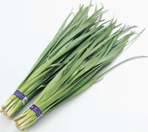 茨城県産他　ニラ　１束