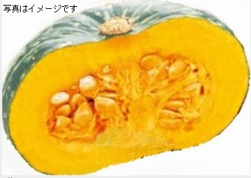 ニュージーランド産　カボチャ　５００ｇ前後