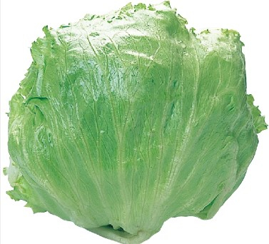 茨城県産他　レタス　１コ