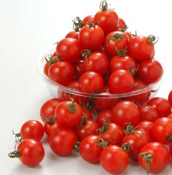 熊本県産他　ミニトマト　１００ｇ