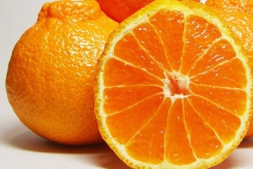 熊本県産　しらぬひ　１コ