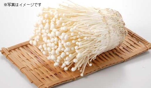 新潟県産　えのき茸　１袋